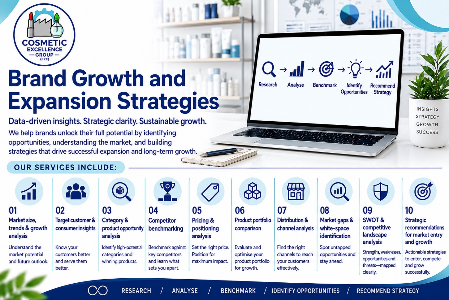 Brand Growth and Expansion Strategies
