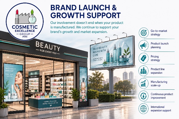 Brand Launch, Marketing and Sales Growth Support